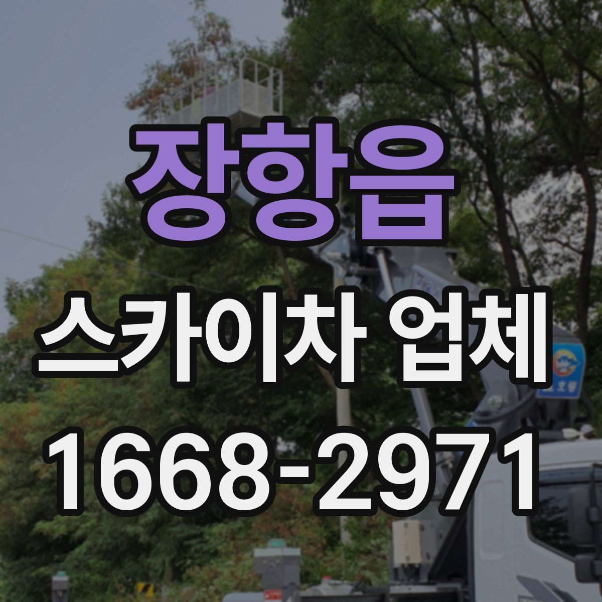 장항읍 스카이차 업체
