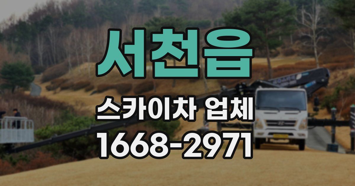 서천읍 스카이차 업체