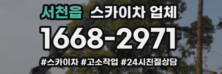 서천읍 스카이차 업체