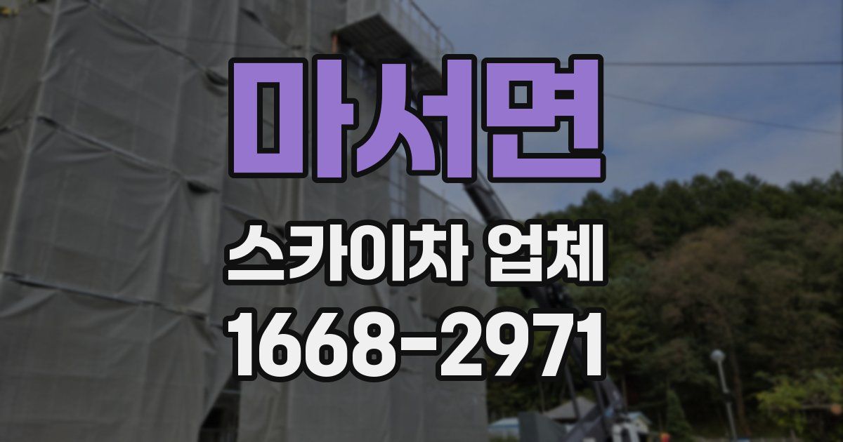 마서면 스카이차 업체