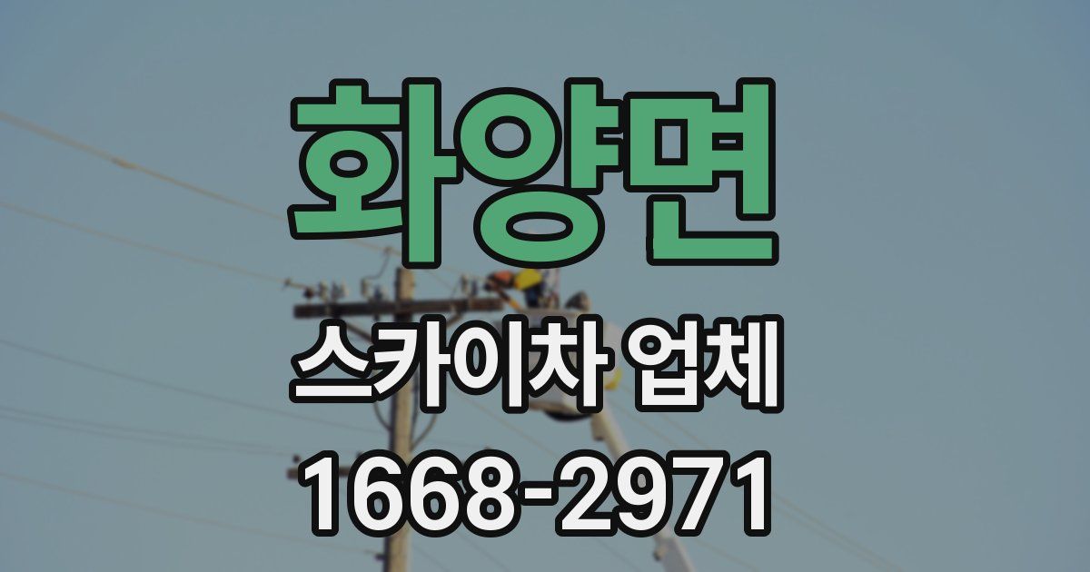 화양면 스카이차 업체
