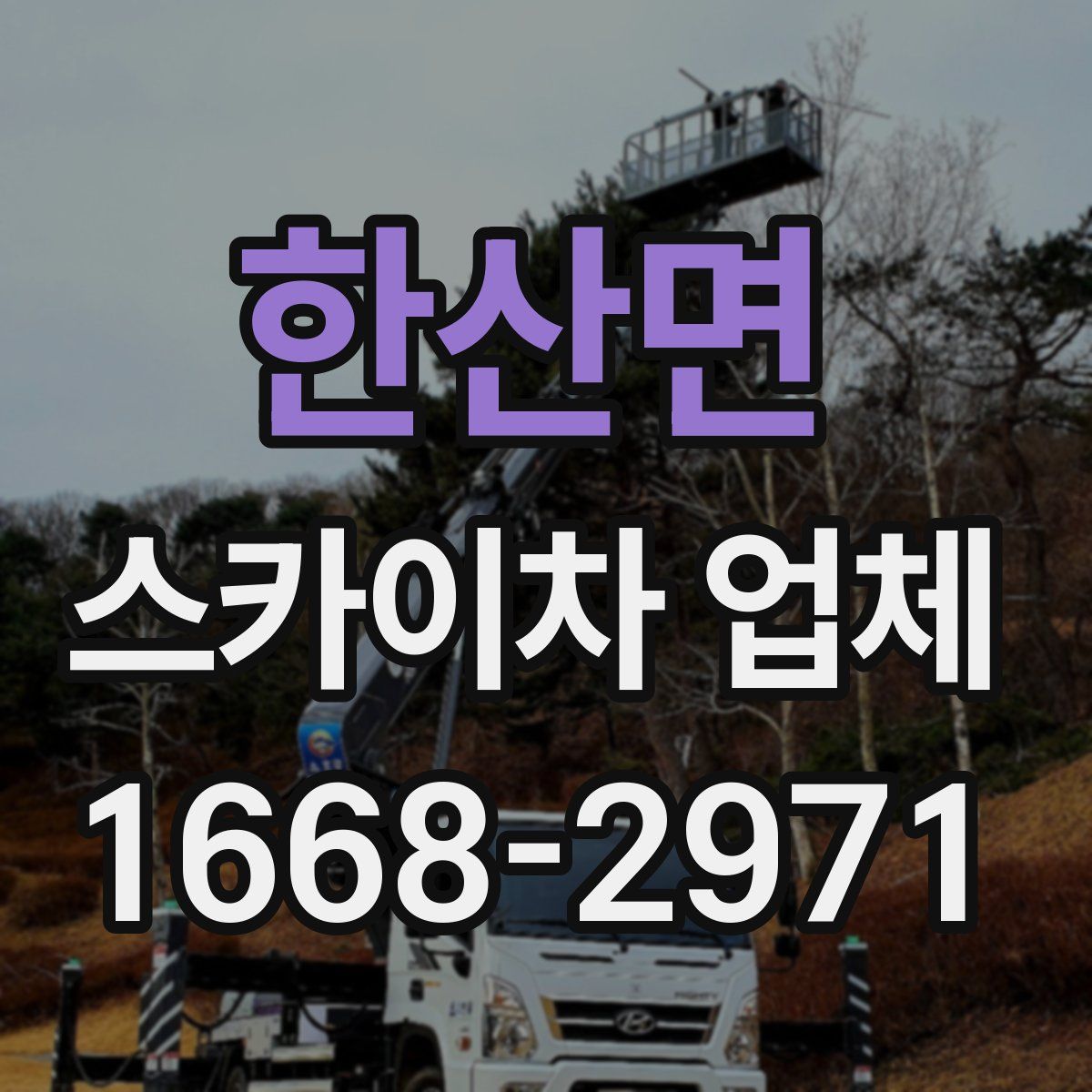 한산면 스카이차 업체