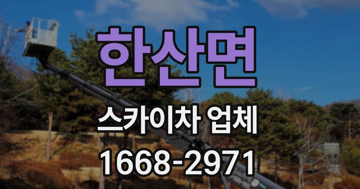 한산면 스카이차 업체