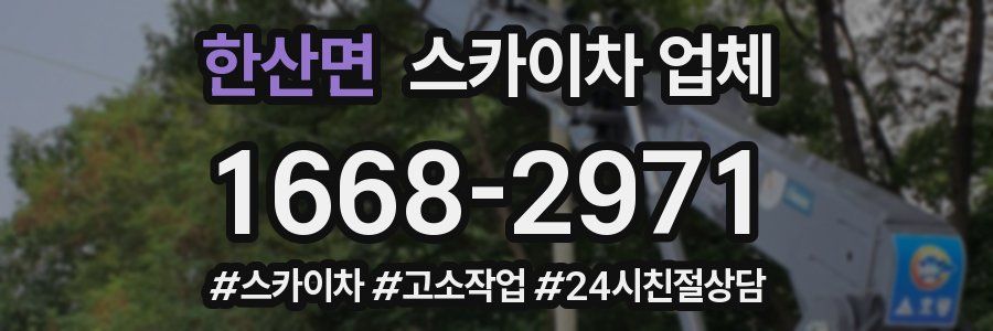 한산면 스카이차 업체