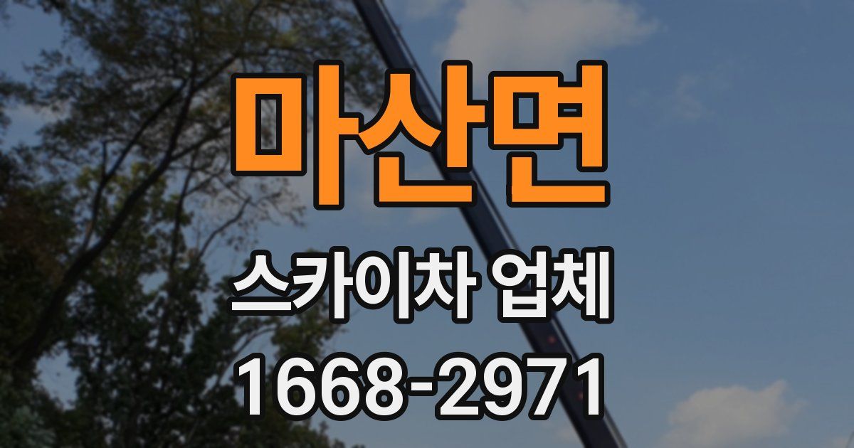 마산면 스카이차 업체
