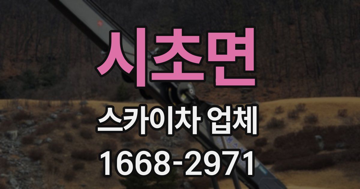시초면 스카이차 업체