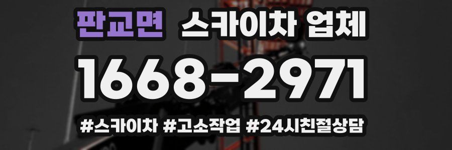 판교면 스카이차 업체