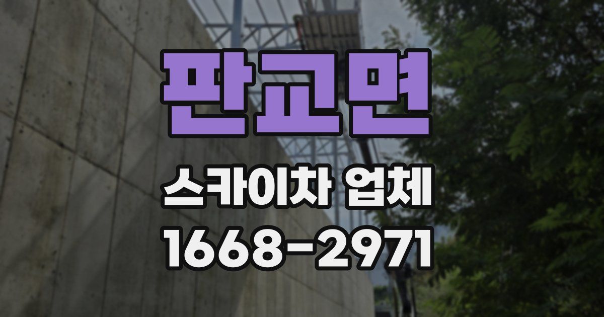 판교면 스카이차 업체