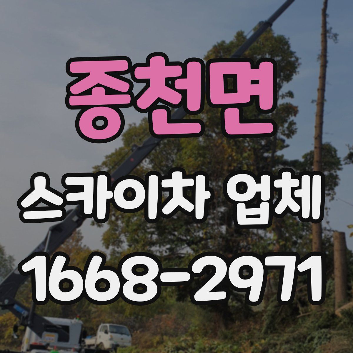종천면 스카이차 업체