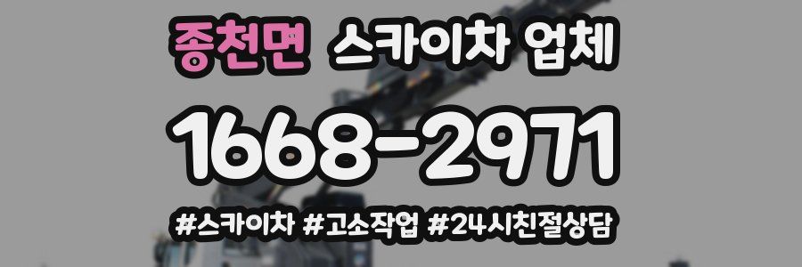 종천면 스카이차 업체