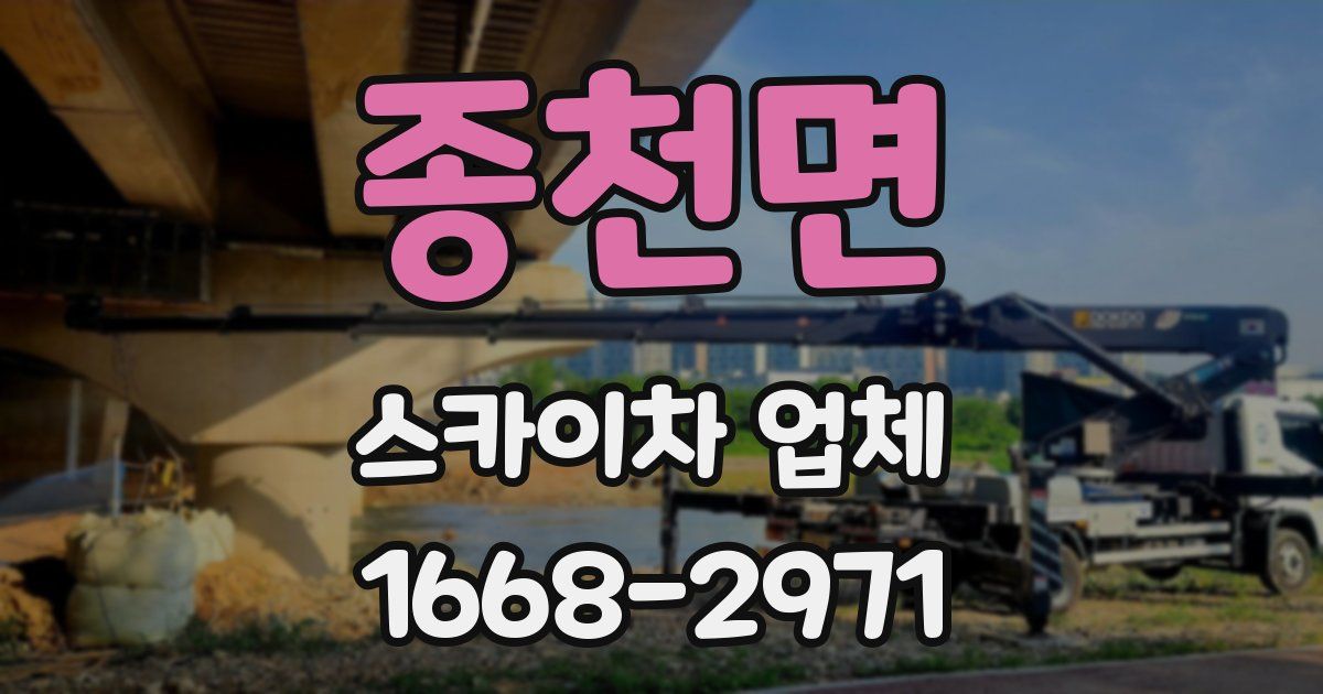 종천면 스카이차 업체