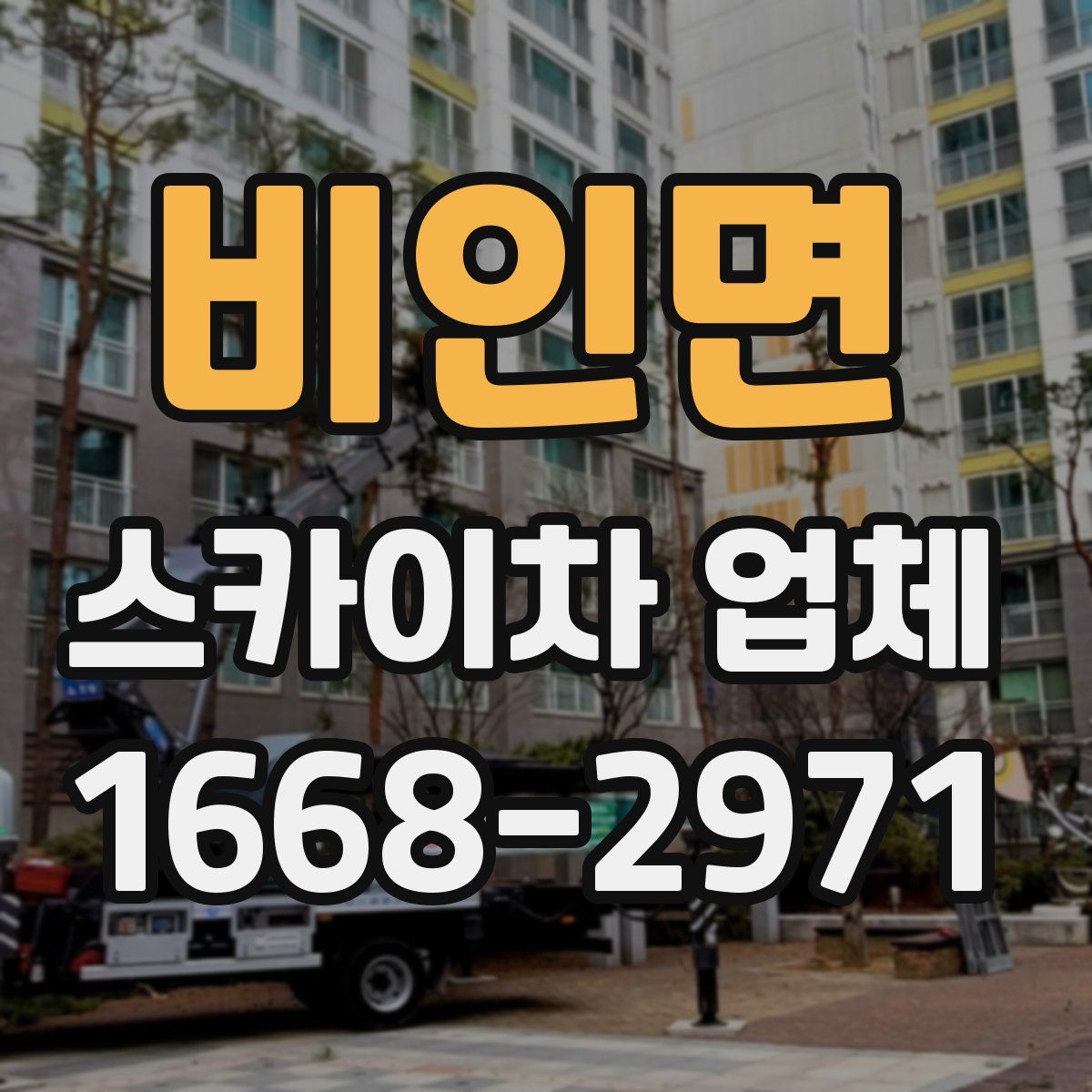 비인면 스카이차 업체