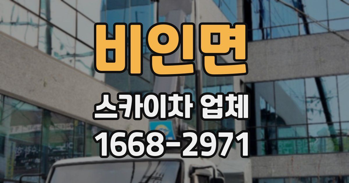 비인면 스카이차 업체