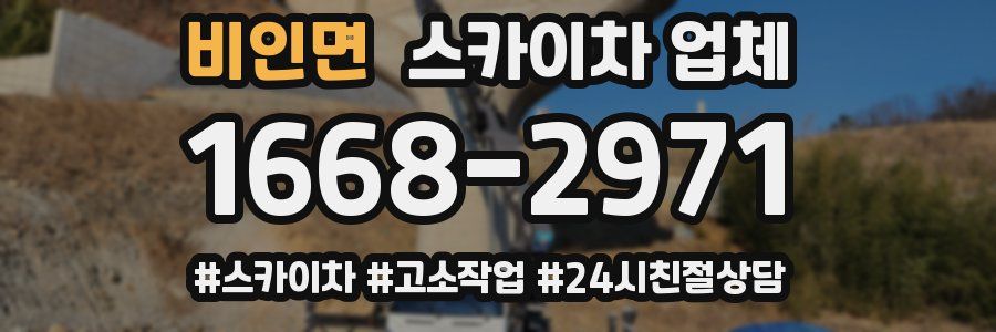 비인면 스카이차 업체