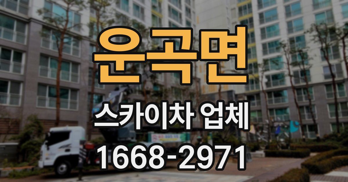 운곡면 스카이차 업체