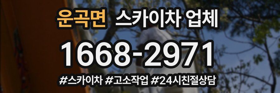 운곡면 스카이차 업체