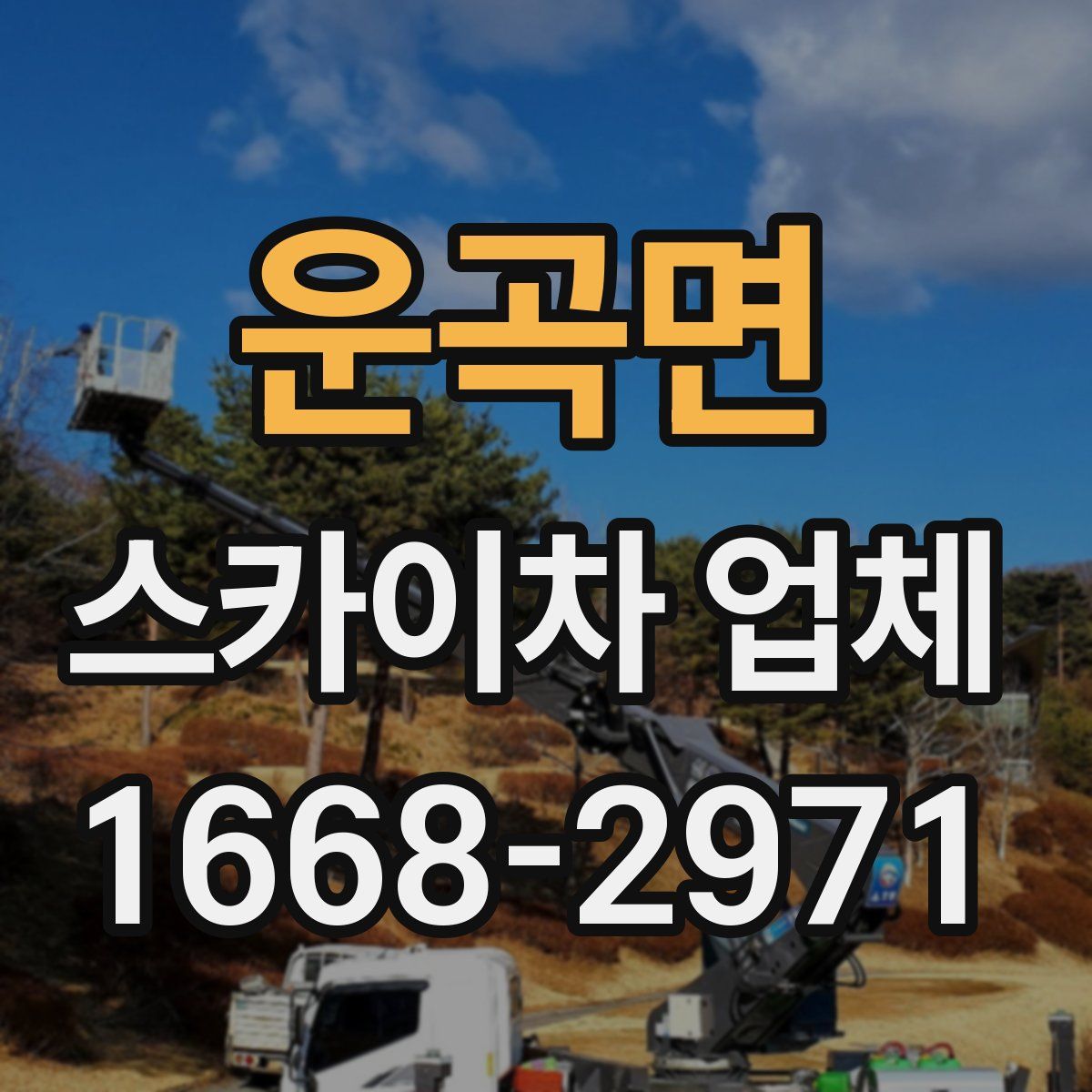 운곡면 스카이차 업체
