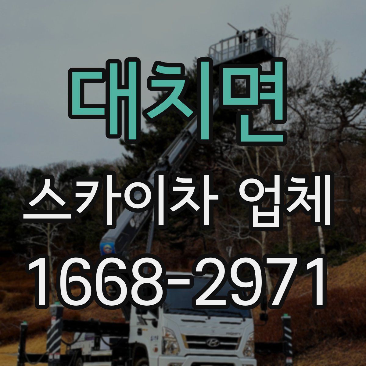 대치면 스카이차 업체