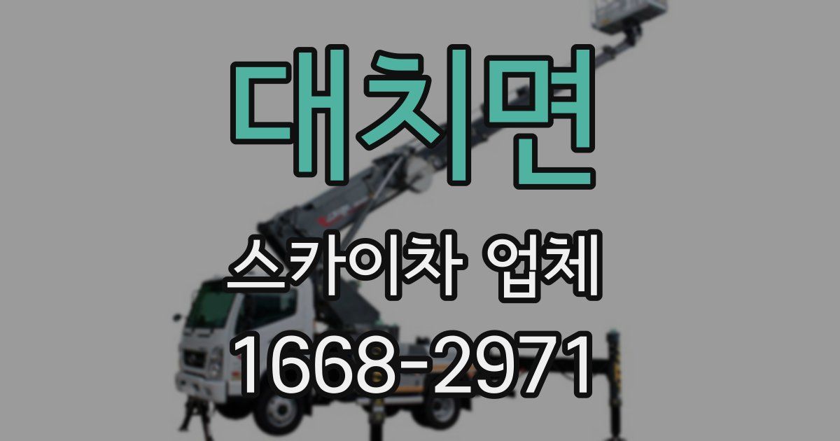 대치면 스카이차 업체