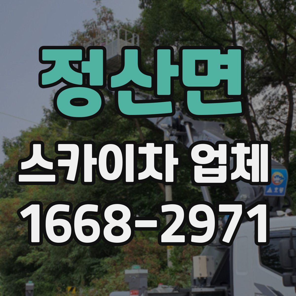 정산면 스카이차 업체