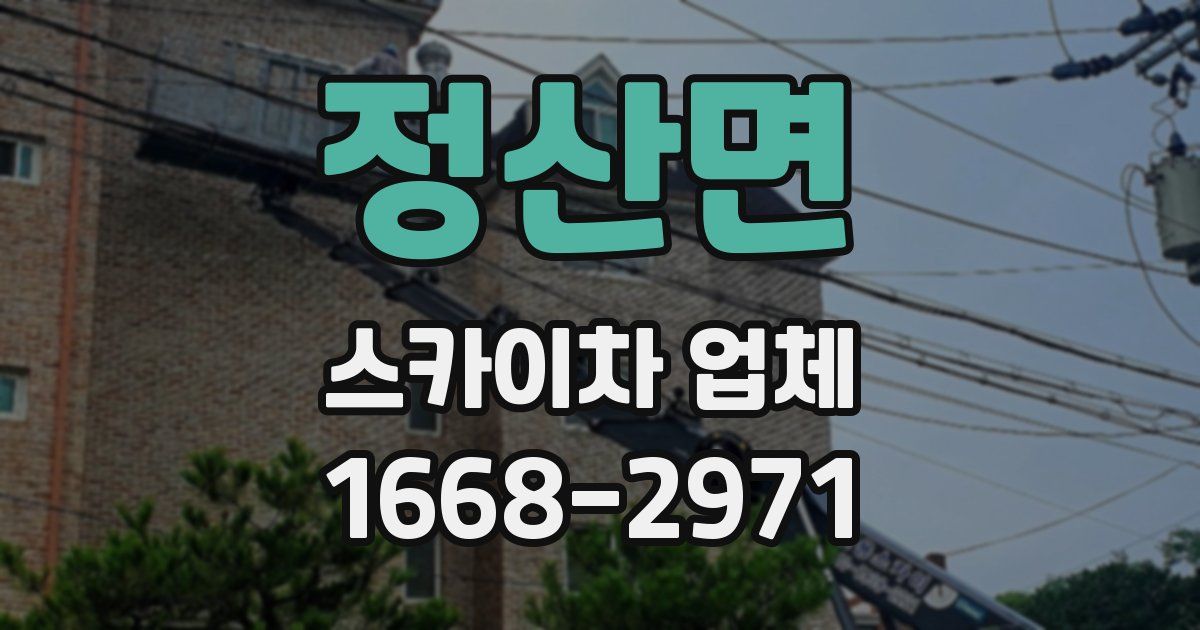 정산면 스카이차 업체