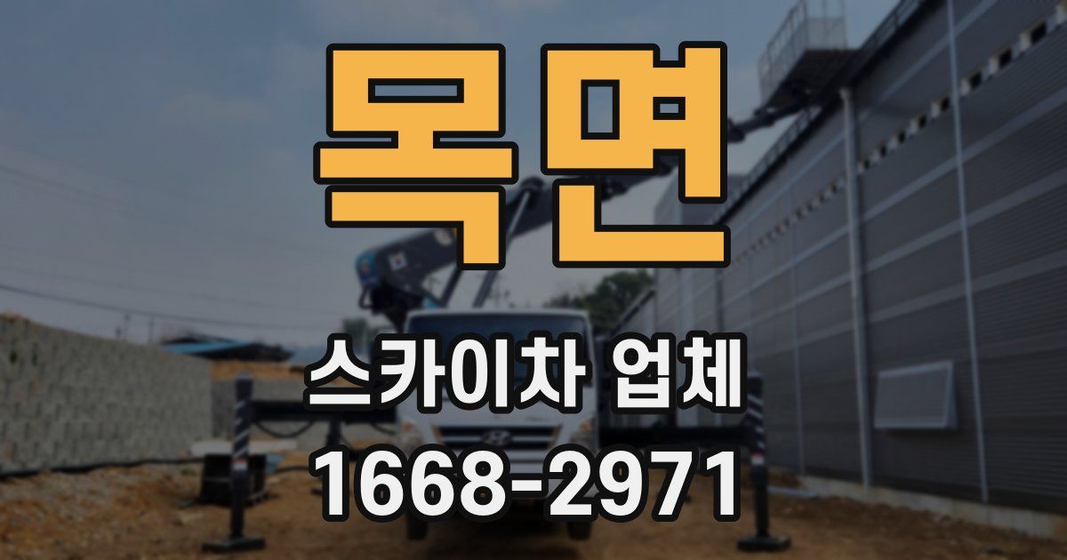 목면 스카이차 업체