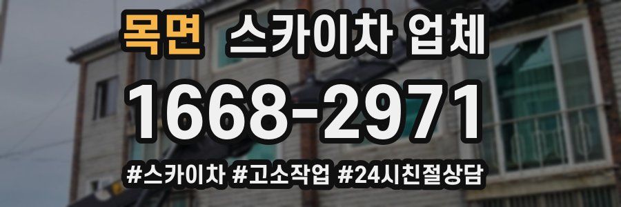 목면 스카이차 업체