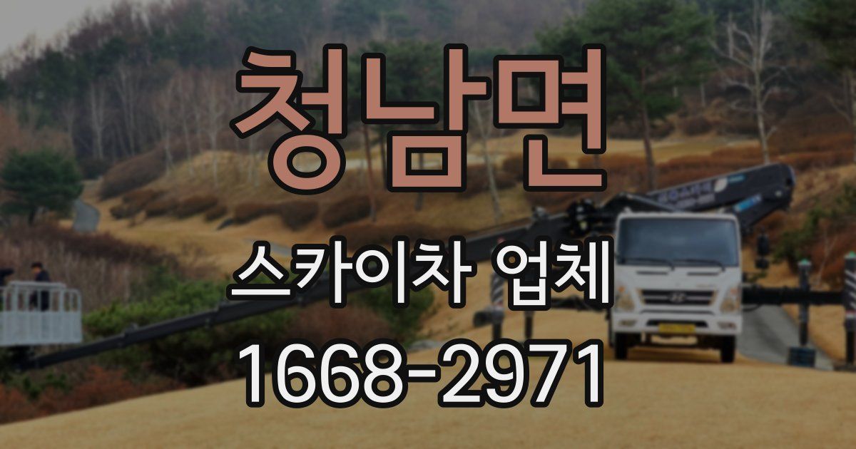청남면 스카이차 업체