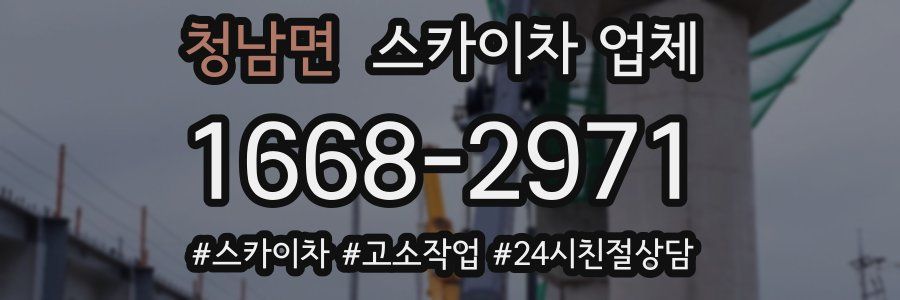 청남면 스카이차 업체