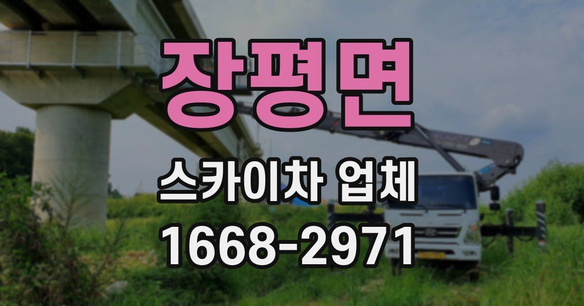 장평면 스카이차 업체