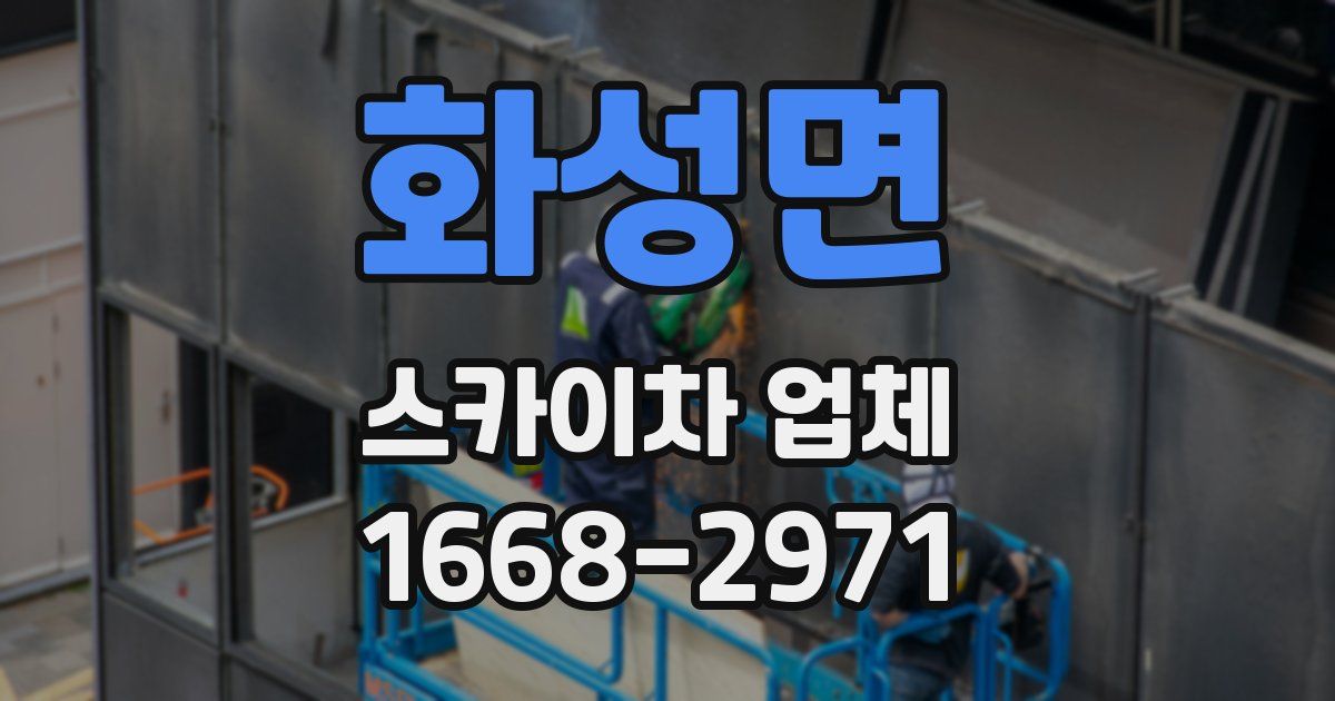 화성면 스카이차 업체