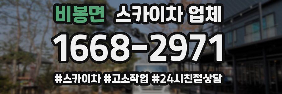 비봉면 스카이차 업체