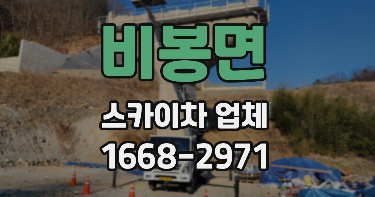 비봉면 스카이차 업체