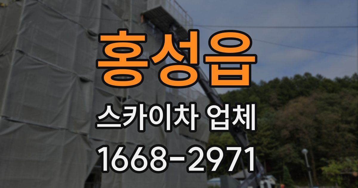 홍성읍 스카이차 업체