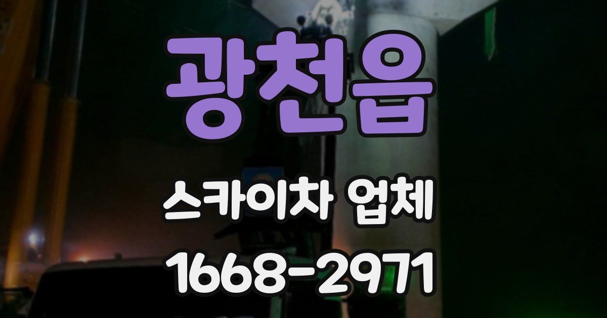 광천읍 스카이차 업체