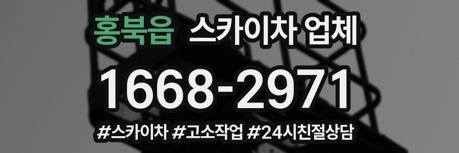 홍북읍 스카이차 업체
