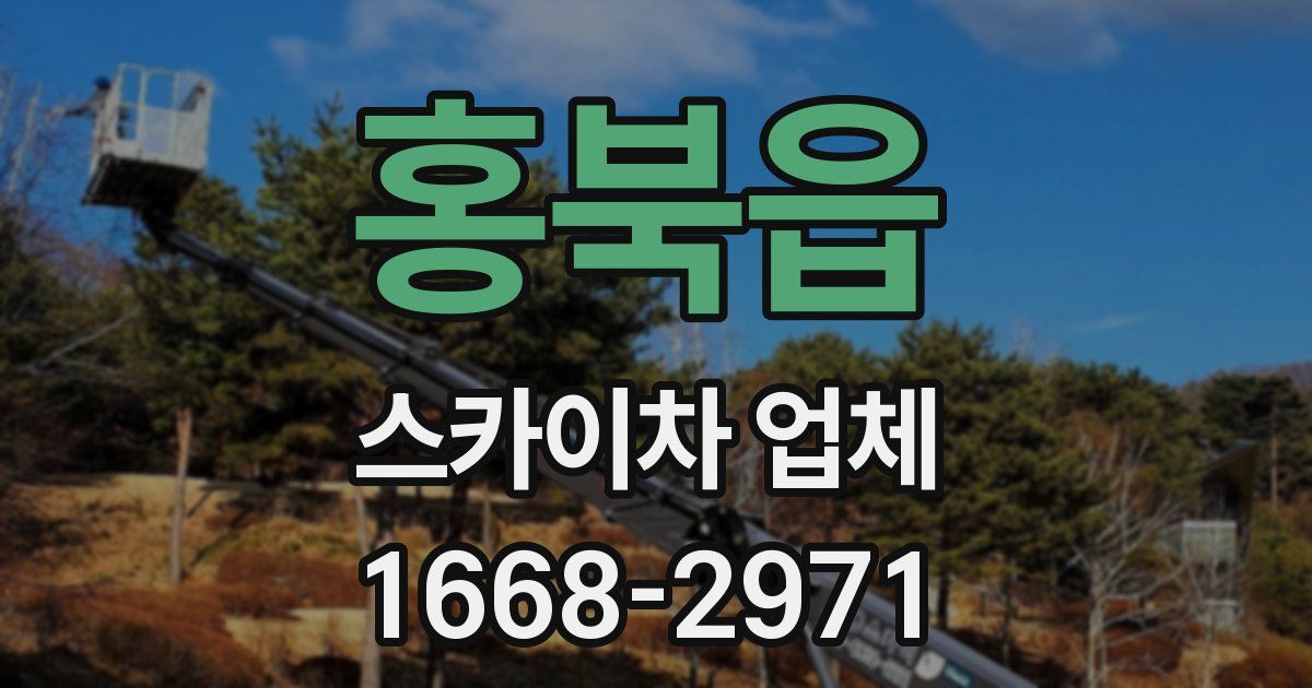 홍북읍 스카이차 업체
