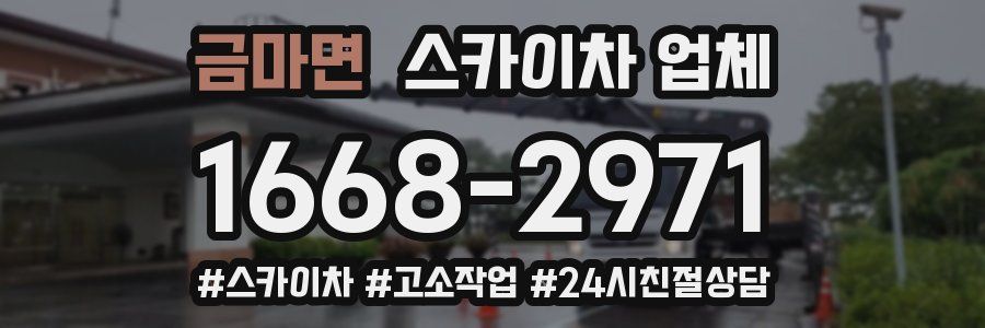 금마면 스카이차 업체