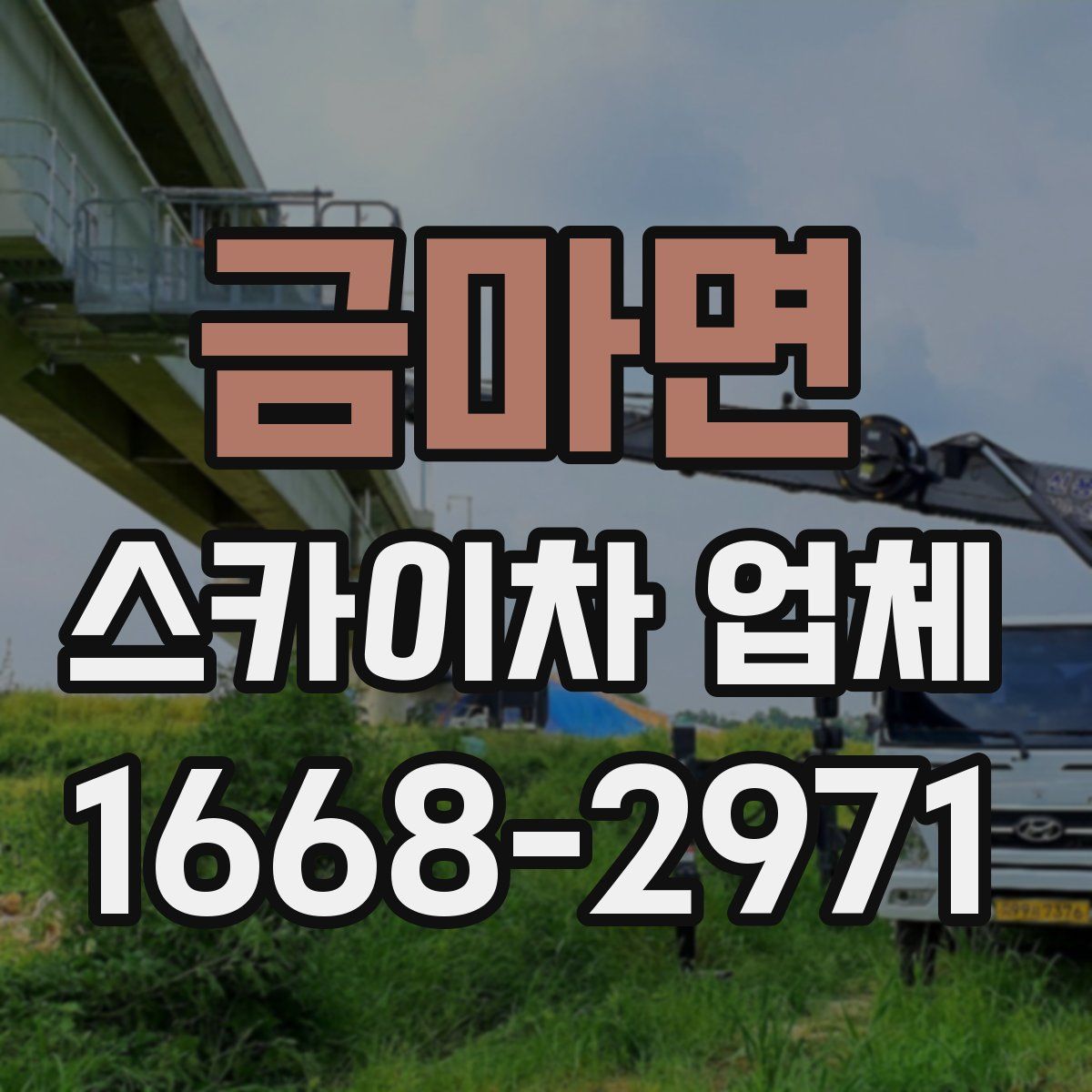 금마면 스카이차 업체