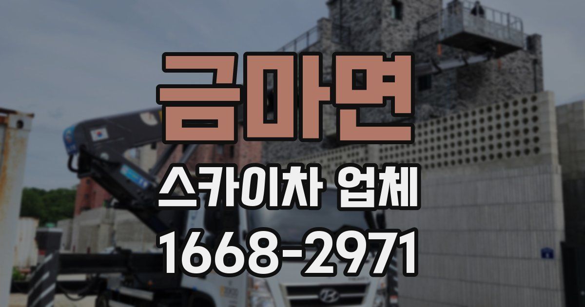 금마면 스카이차 업체