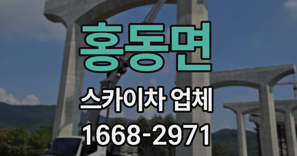 홍동면 스카이차 업체