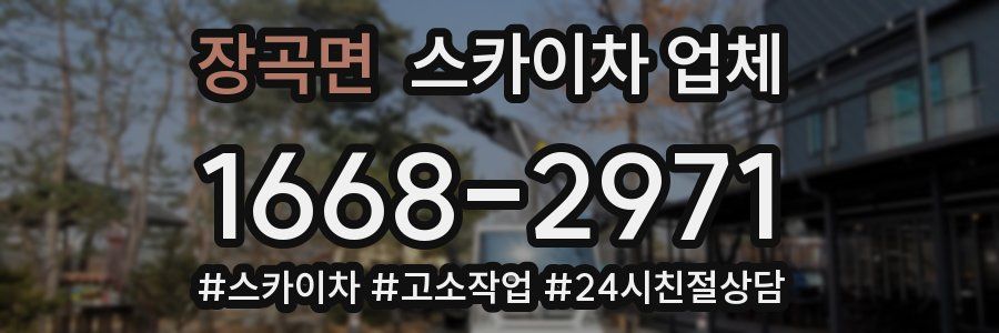 장곡면 스카이차 업체