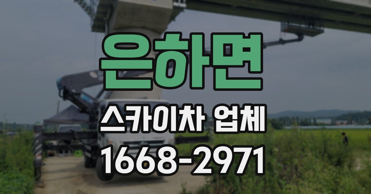 은하면 스카이차 업체