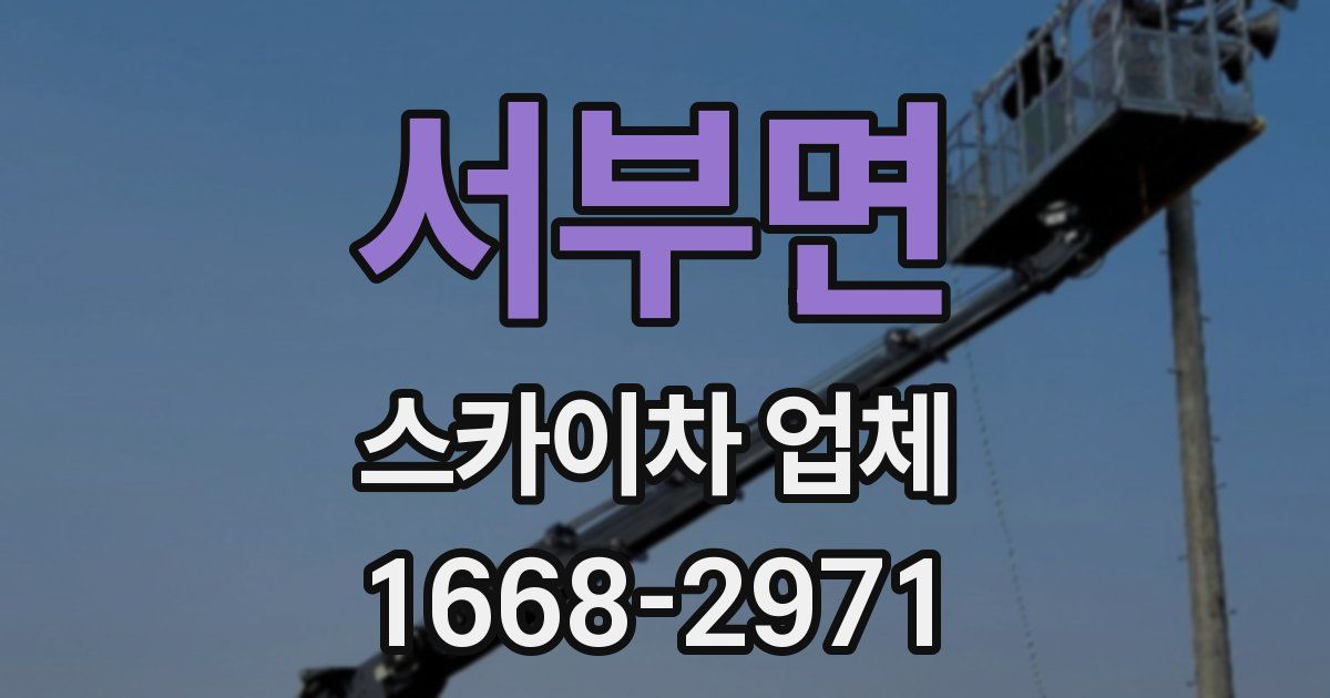 서부면 스카이차 업체
