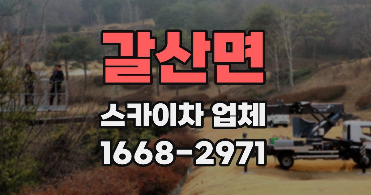 갈산면 스카이차 업체