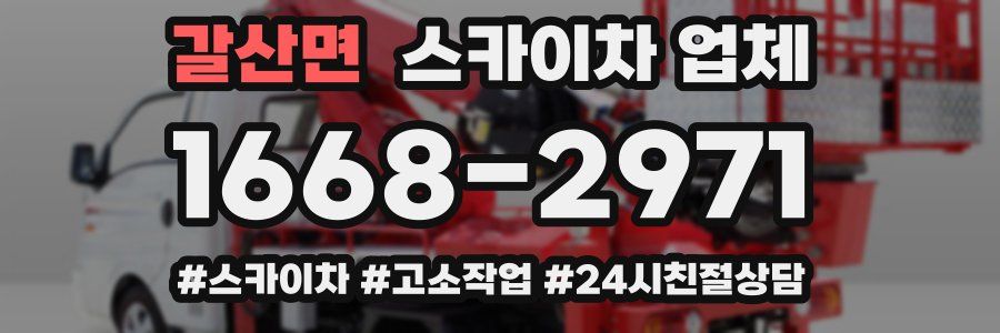 갈산면 스카이차 업체