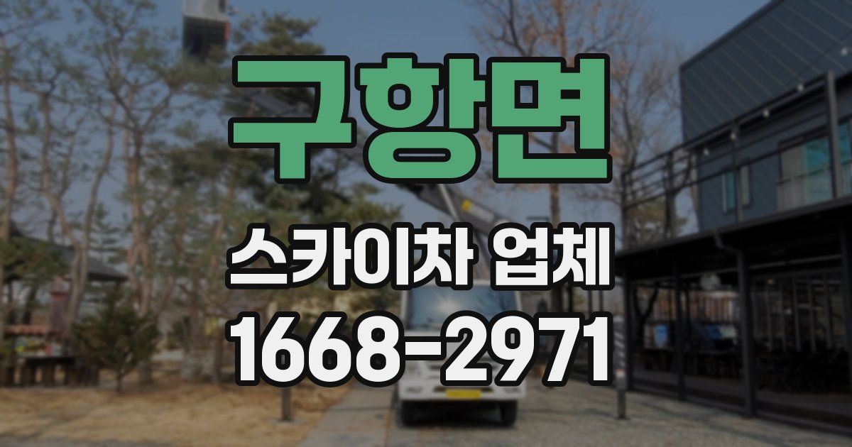 구항면 스카이차 업체