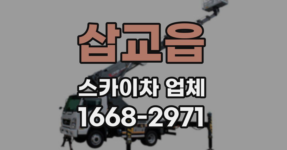 삽교읍 스카이차 업체