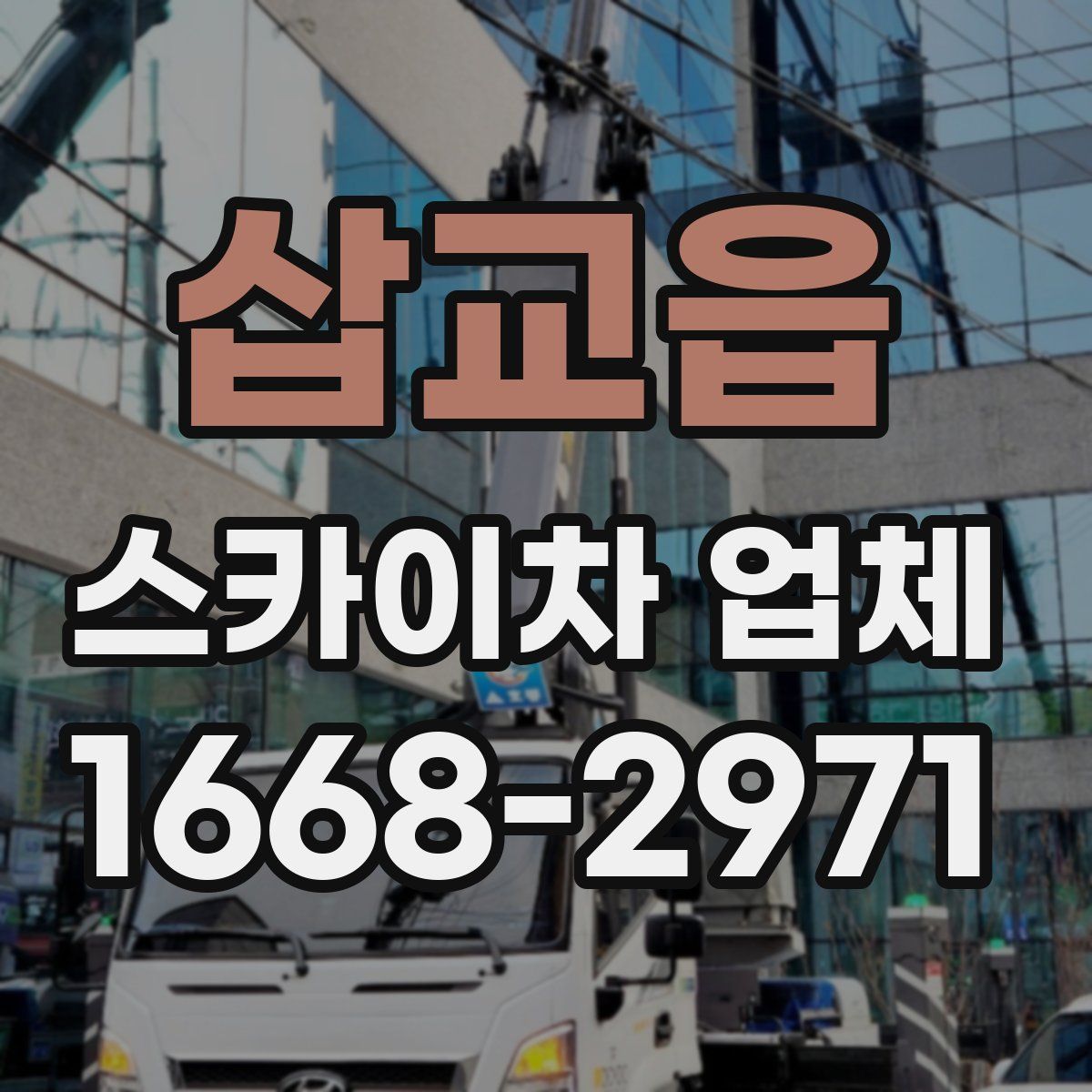 삽교읍 스카이차 업체