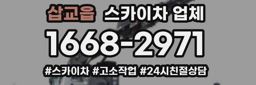 삽교읍 스카이차 업체